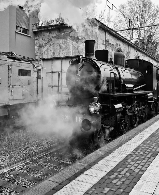 Visita guidata alla stazione internazionale di Luino e viaggio in treno a vapore