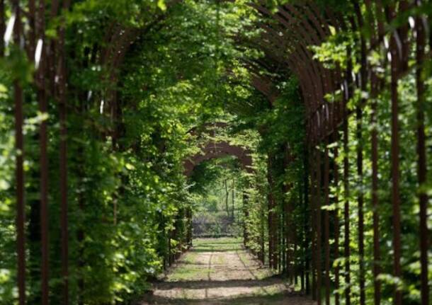 Mattine d'estate a Villa Arconati - Visite guidate nel giardino monumentale