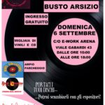 Mostra Mercato del Vinile e CD per Hobbisti