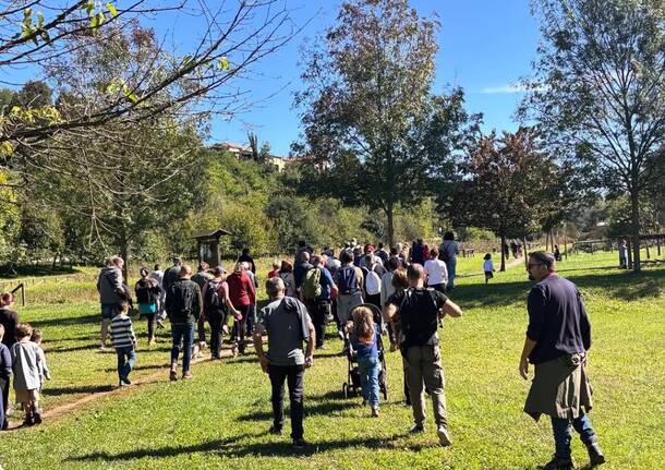 Camminata sulla Via Francisca – Tappa Cairate