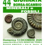 44° Giornata Borsa Scambio Minerali e Fossili