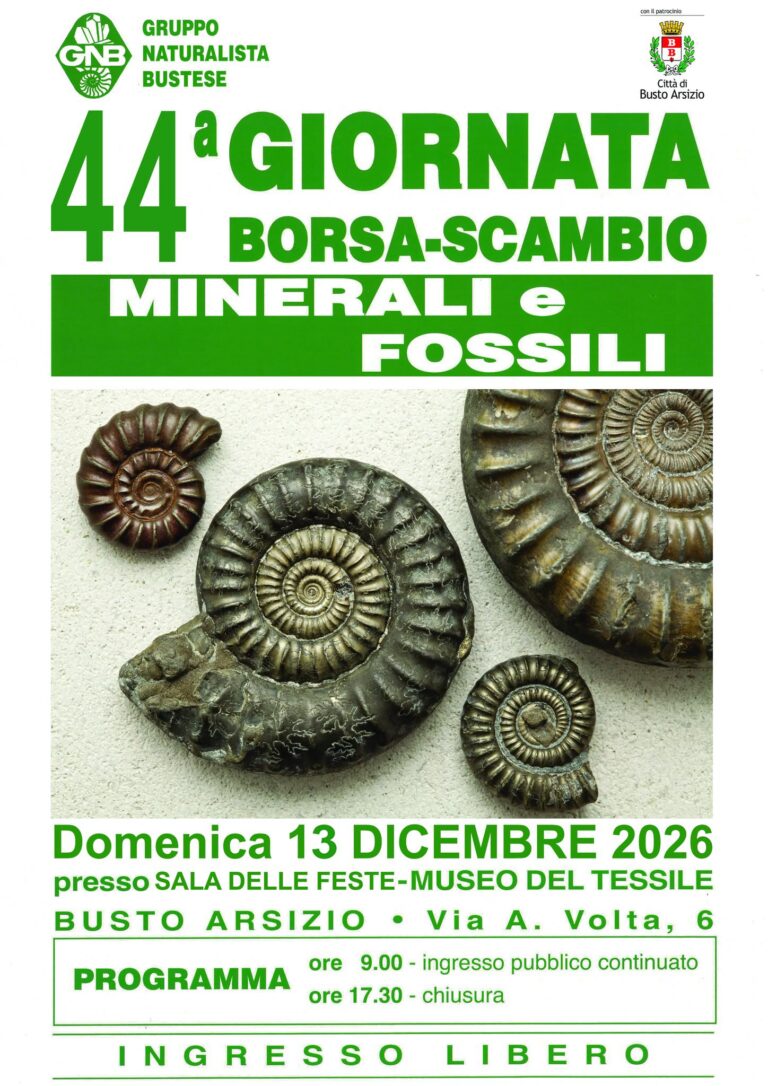 44° Giornata Borsa Scambio Minerali e Fossili