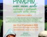 Mostra d'Arte "Pinocchio…ma non solo"