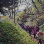 Cammina Foreste Urbane - Visita naturalistica al Parco Oasi dei Fontanili