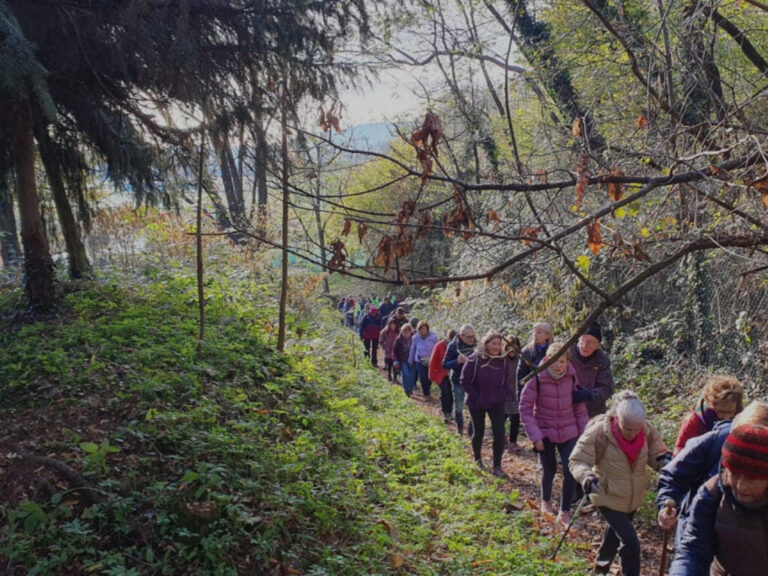 Cammina Foreste Urbane – Visita naturalistica al Parco Oasi dei Fontanili